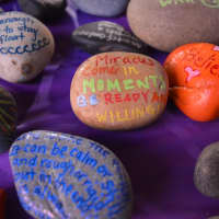 <p>&quot;Recovery rocks&quot; painted with healing messages, compliments of the Akhtarshenas family in honor of their son, James.</p>