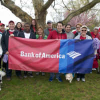 <p>A team of walkers representing Bank of America at Sunday morning&#x27;s walk.</p>