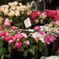 <p>Flowers of all kinds available at Nielsen&#x27;s Florist &amp; Garden Shop in Darien.</p>