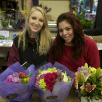 <p>Mother&#x27;s Day arrangements from Stamford Florist.</p>