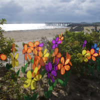 <p>Some of the Promise Flowers planted at Sunday&#x27;s Walk to End Alzheimer&#x27;s.</p>