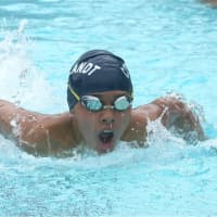 <p>A Cortlandt swimmer heads for the finish line.</p>