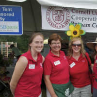<p>Cornell Cooperative Extension of Putnam County rolled out its 45th annual Putnam County 4-H Fair over the weekend, starting on Friday and running through Sunday.</p>