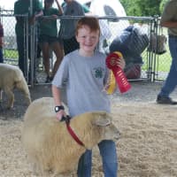 <p>Cornell Cooperative Extension of Putnam County rolled out its 45th annual Putnam County 4-H Fair over the weekend, starting on Friday and running through Sunday.</p>