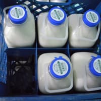 <p>Hours-old milk from Battenkill Valley Creamery in Salem, N.Y., on a doorstep in Clifton. Next step: putting it in a container with ice to keep it at 45 degrees.</p>