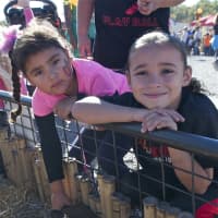 <p>Kids check out the petting zoo at Adams Fairacre Farms Harvest Fest.</p>