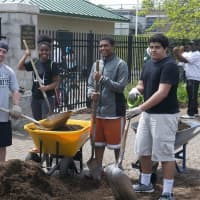 <p>More than 200 students and 30 teachers take part in Norwalk High School&#x27;s Cleanup Day.</p>