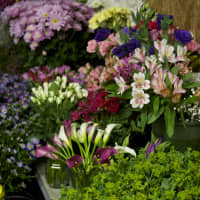 <p>Some of the flowers at Irene&#x27;s Flower Shop.</p>