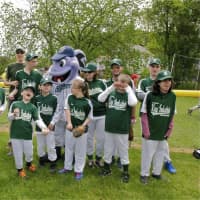 <p>Norwalk Little League holds its third annual Challenger Recognition Day Sunday, celebrating the Challenger Division for kids with special needs. Pictured: the Norwalk Challenger team.</p>