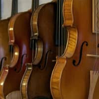 <p>Handmade violins on display at Lord of the Strings.</p>