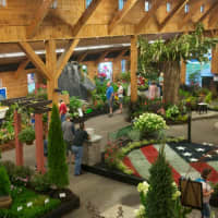 <p>Lush plants and flowers on exhibit are a fair favorite for many.</p>