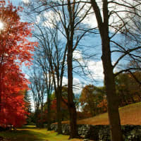 <p>The dazzling show that is autumn in New York is well underway, and there aren&#x27;t many places that can match northern Westchester County for putting on a great display. Pictured: fall colors, Somers.</p>