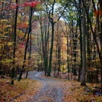 <p>The dazzling show that is autumn in New York is well underway, and there aren&#x27;t many places that can match Dutchess County for putting on a great display.</p>
