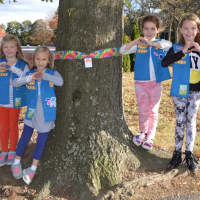 <p>A Wyckoff Daisy troop tied rainbow ribbons around trees throughout town to support those affected by cancer.</p>
