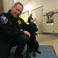 <p>Daisy the Arson Dog is shown with her handler, Detective John Peters of the Westchester County Police.</p>