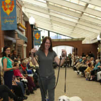 <p>A woman parades two dogs down &#x27;Main Street&#x27; at Waveny LifeCare in New Canaan.</p>
