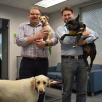 <p>Richard Delaney holds Cooper and Jonathan Seidman holds Mr. Chops as Sunny looks on, at Delaney Computer Services in Mahwah.</p>