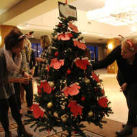 <p>Employees of the Bergen Volunteer Center in Hackensack look over their 501(c) Tree.</p>