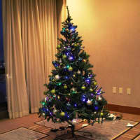 <p>The Bergen Volunteer Medical Initiative tree was very traditional.</p>