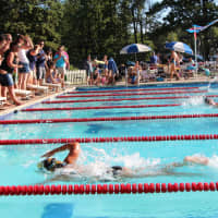 <p>Girls head for the finish in the 50 meter Freestyle.</p>