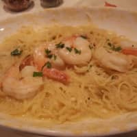 <p>Baby shrimp swim in a sea of garlicky butter in this scampi dish at E&amp;V Ristorante in Paterson, N.J.</p>
