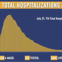 <p>The latest breakdown of COVID-19 hospitalizations in New York.</p>