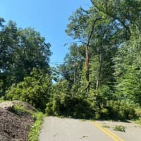<p>Thousands in Fairfield County are still without power days after Tropical Storm Isaias.</p>