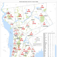 <p>The breakdown of COVID-19 cases in Westchester County on Tuesday, Oct. 13.</p>