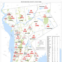 <p>The breakdown of COVID-19 cases in Westchester County on Monday, Nov. 9.</p>