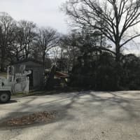 <p>Don&#x27;t necessarily be tempted to chop and saw a downed tree out of your way. Sometimes it&#x27;s just best to bring in the experts.</p>