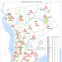 <p>The Westchester County COVID-19 breakdown on Friday, Nov. 20.</p>