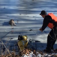 <p>Fairfield Firefighters Rob Petrie (in the yellow rescue suit) and Nick Gentile (with the hat and life jacket) rescue Delilah after she became trapped on an ice-covered pond.</p>