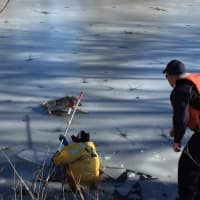 <p>Fairfield Firefighters Rob Petrie (in the yellow rescue suit) and Nick Gentile (with the hat and life jacket) rescue Delilah after she became trapped on an ice-covered pond</p>