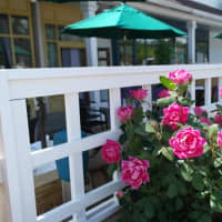 <p>Roses adorn Farm to Table Bistro&#x27;s rustic patio in Fishkill.</p>