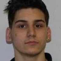 <p>Seth Feliz, 17, of Wallkill was charged with possession of stolen property after wrecking a stolen vehicle.</p>