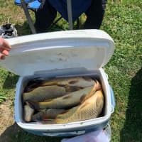 <p>Three men were issued more than $4,200 in fines after officials reported that they far exceeded the daily limit for carp fishing.</p>