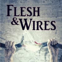 <p>The cover to Jackie Hatton&#x27;s novel &quot;Flesh &amp; Wires,&quot; set in Westport.</p>