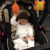 <p>Gabriella Behrens, 2 months, takes a nap in her Princess Leia costume.</p>