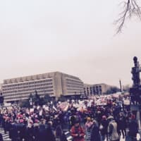 <p>One of many crowded Washington, D.C. streets during the Women&#x27;s March.</p>