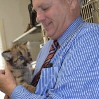 <p>Bergen County Executive Jim Tedesco holds one of the brother mountain lion cubs.</p>