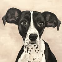 <p>Dog painting by Laura Massari.</p>