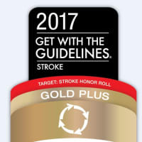 Nyack Hospital Awarded 'Gold Quality' Honor For Stroke Care