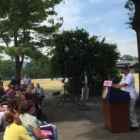 <p>Gov. Andrew Cuomo speaks during a stop at Bear Mountain State Park, part of a breast cancer awareness initiative.</p>