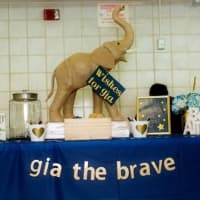 <p>Gia&#x27;s Gentile&#x27;s favorite animal stands guard over a display at a fundraiser in Mount Pleasant. The event raked in $50,000 for pediatric cancer research.</p>