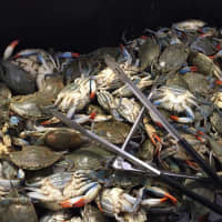 <p>H Mart, a supermarket chain, specializes in Asian foods and fresh seafood, like these crabs. It is opening a new store in Yonkers this April.</p>