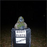 <p>Halloween decorations at the Somers home of Linda Luciano.</p>