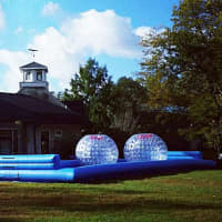 <p>Human hamster-ball racing will be one of the attractions at the Fall Festival.</p>