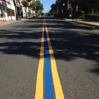 <p>Ridgefield Park&#x27;s blue line.</p>