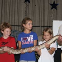 <p>Students get a look at a large snake during the Animal Embassy visit.</p>