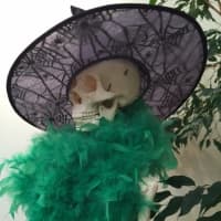 <p>Milton the skeleton dressed up for Halloween</p>